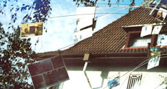 Grüße aus dem Paradies